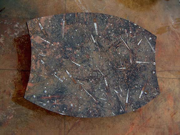 28-fossil-table-2