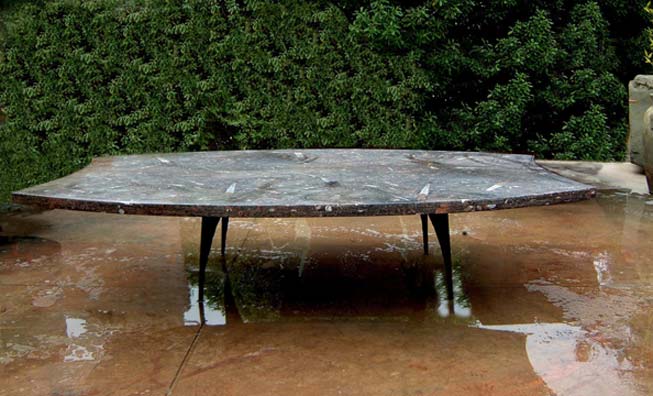 29-fossil-table