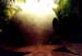 05-sidehawaii